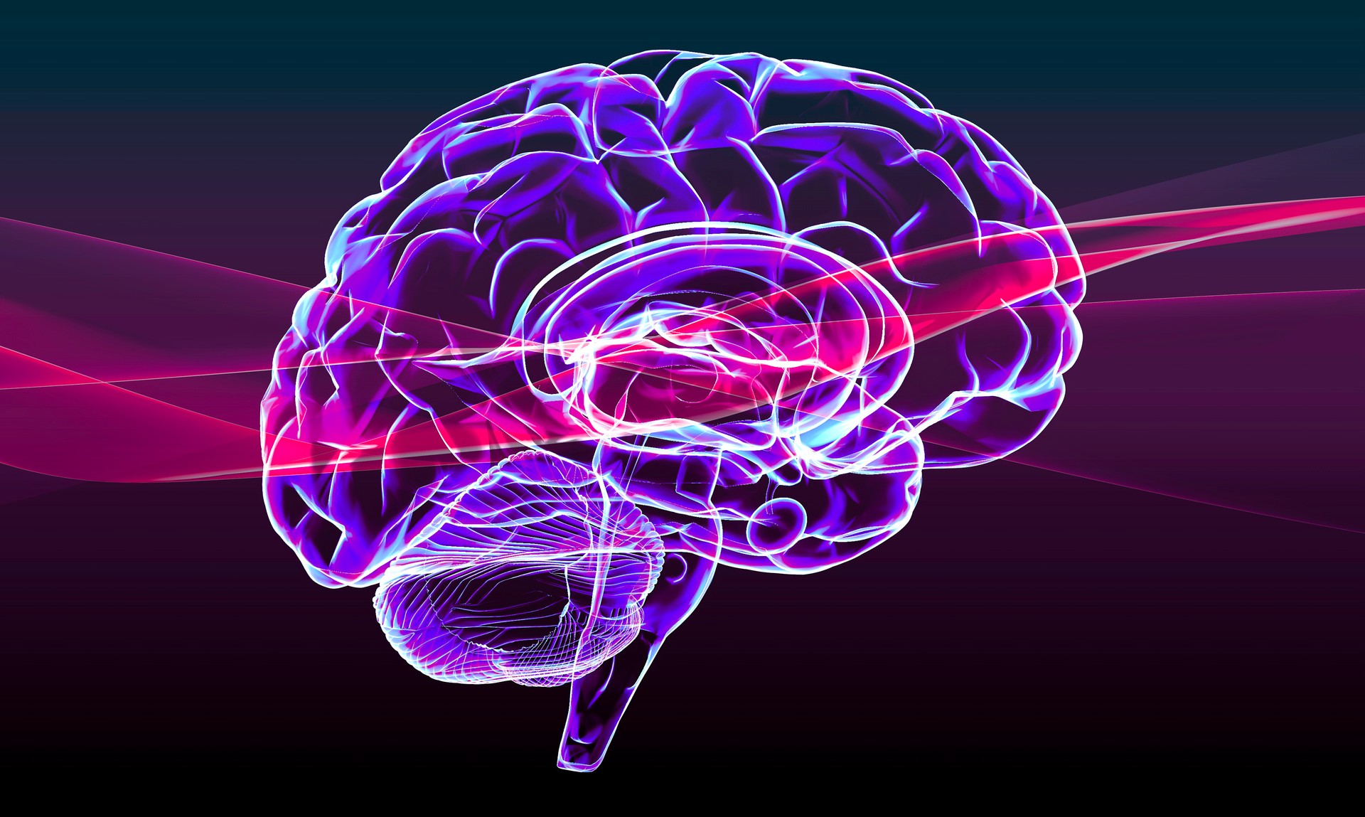 Section of a brain seen in profile, parts of the brain. Degenerative diseases, Parkinson, synapses, neurons, Alzheimer’s.